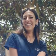 Insegnate di storia dell'arte offre lezioni private online (ovunque) e in presenza (a Catania). Dalle elementari alle superiori.